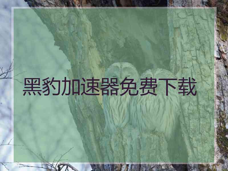 黑豹加速器免费下载