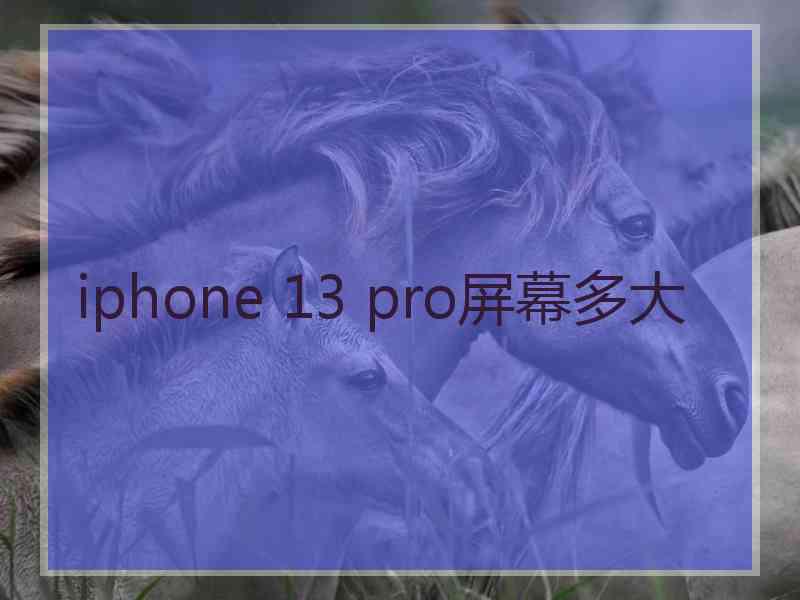 iphone 13 pro屏幕多大