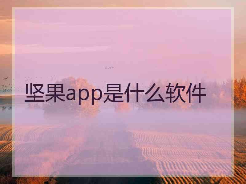 坚果app是什么软件