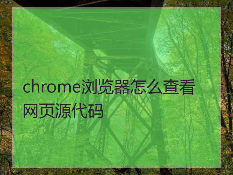 chrome浏览器怎么查看网页源代码