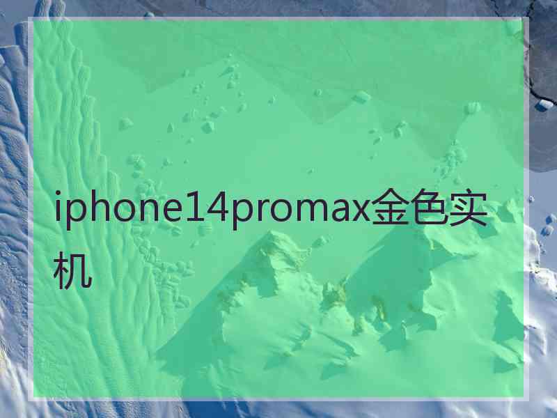 iphone14promax金色实机