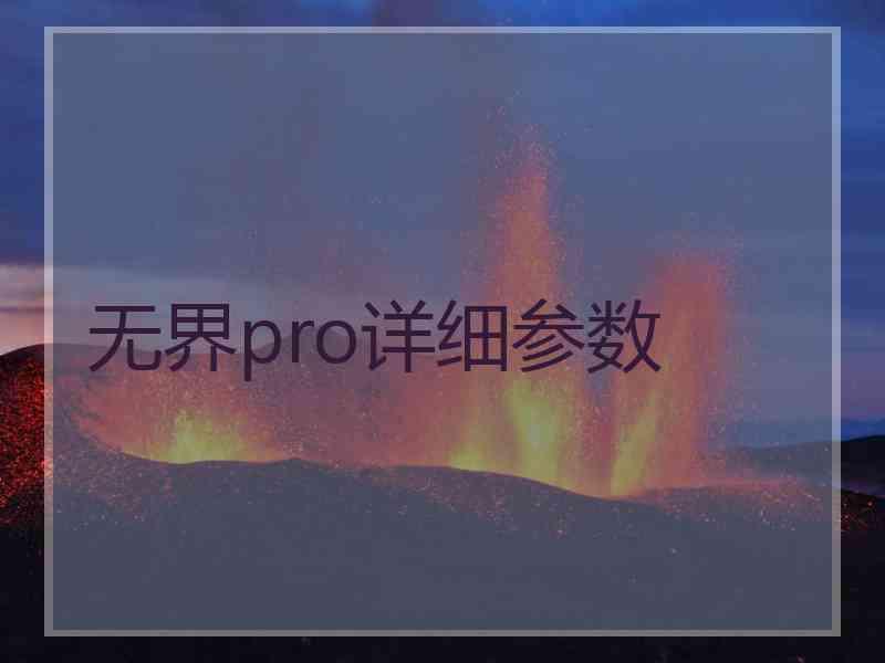 无界pro详细参数