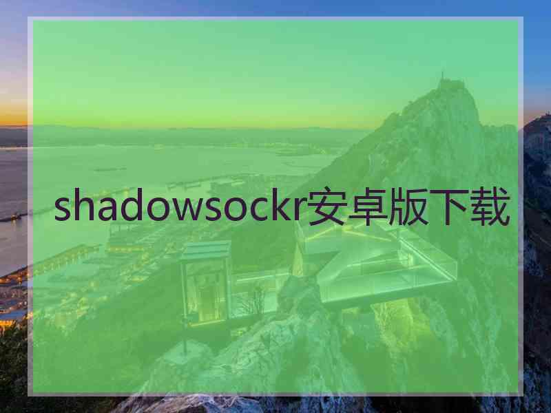 shadowsockr安卓版下载