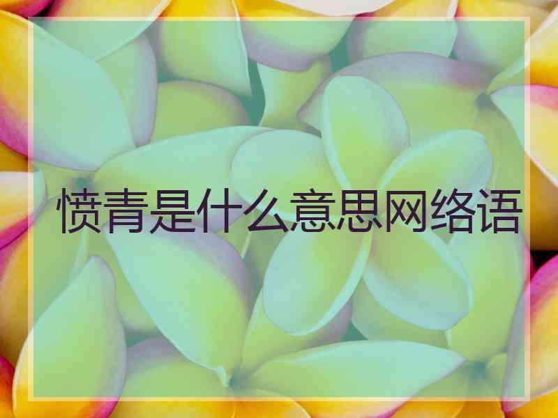 愤青是什么意思网络语