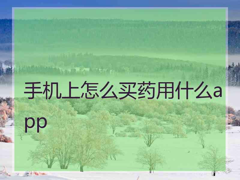 手机上怎么买药用什么app