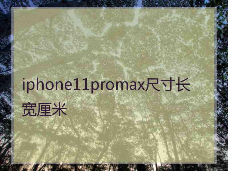 iphone11promax尺寸长宽厘米