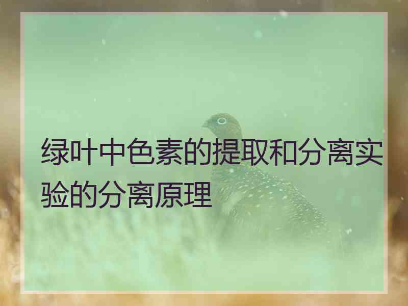 绿叶中色素的提取和分离实验的分离原理