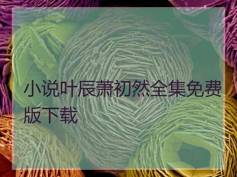 小说叶辰萧初然全集免费版下载