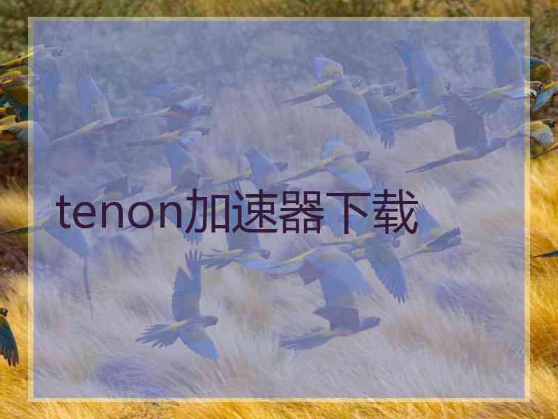 tenon加速器下载