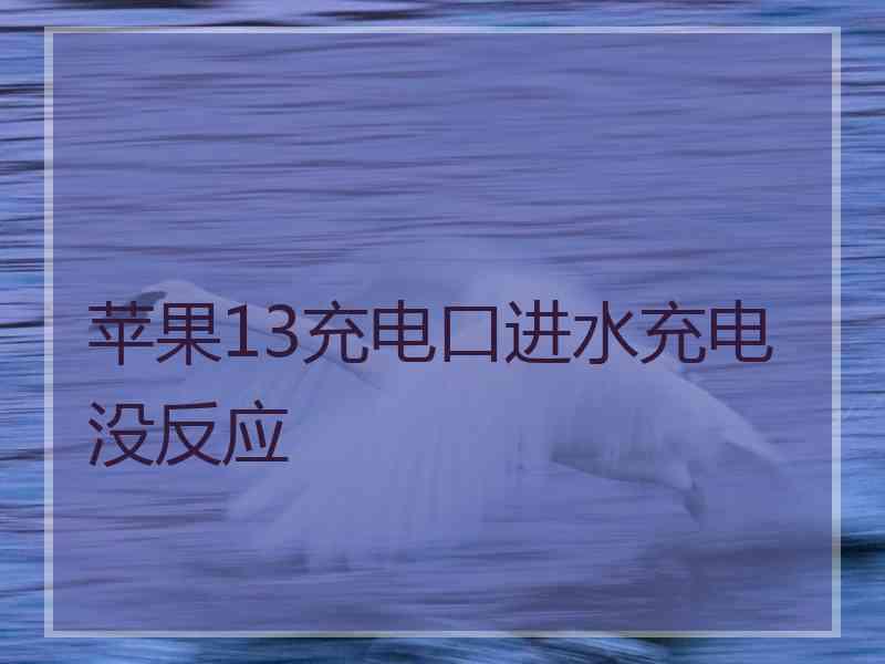 苹果13充电口进水充电没反应