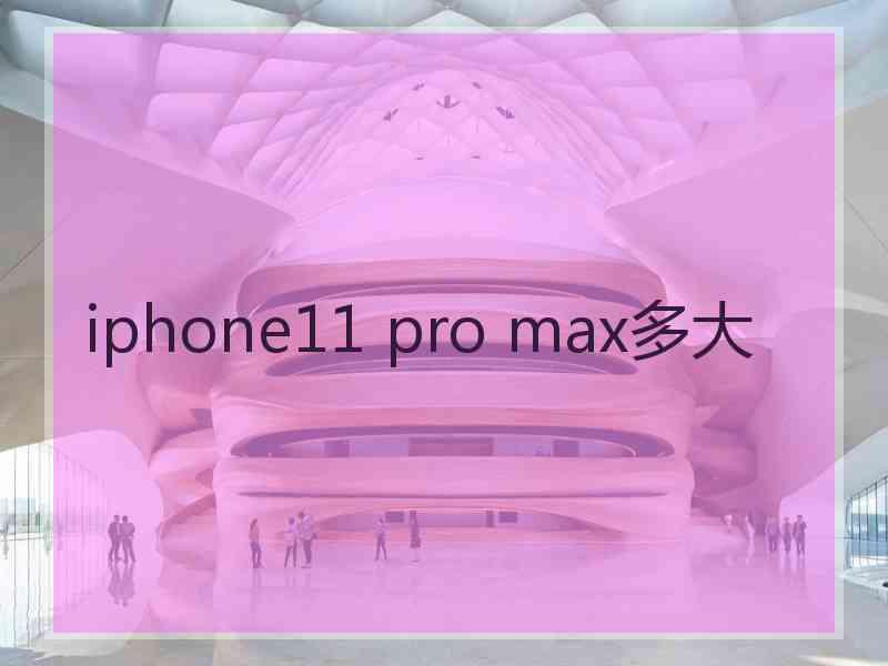 iphone11 pro max多大