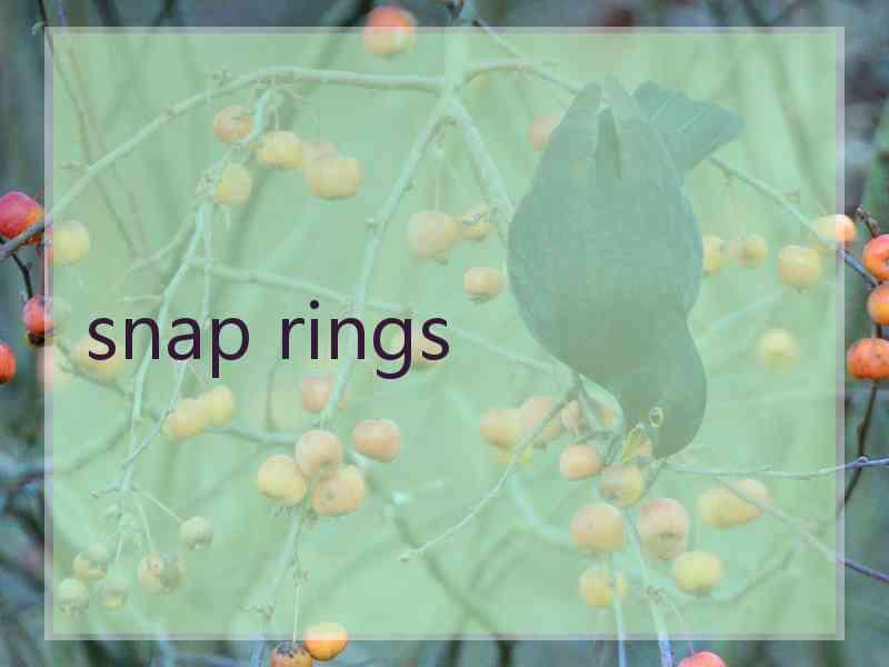 snap rings