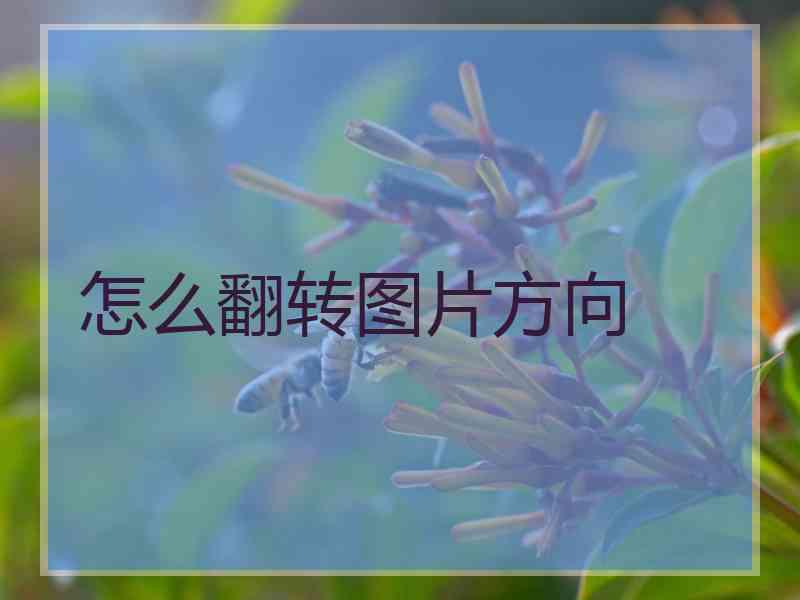 怎么翻转图片方向