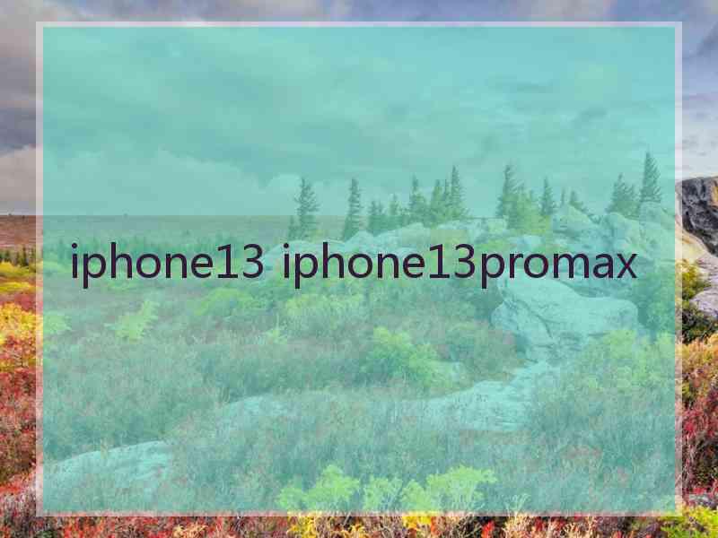 iphone13 iphone13promax