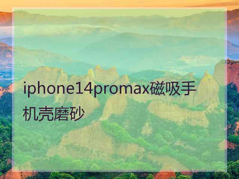 iphone14promax磁吸手机壳磨砂