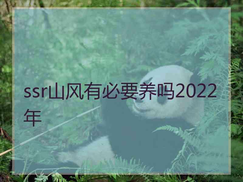 ssr山风有必要养吗2022年