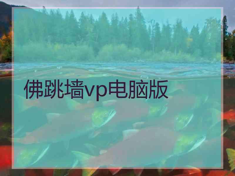 佛跳墙vp电脑版