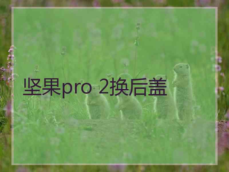 坚果pro 2换后盖